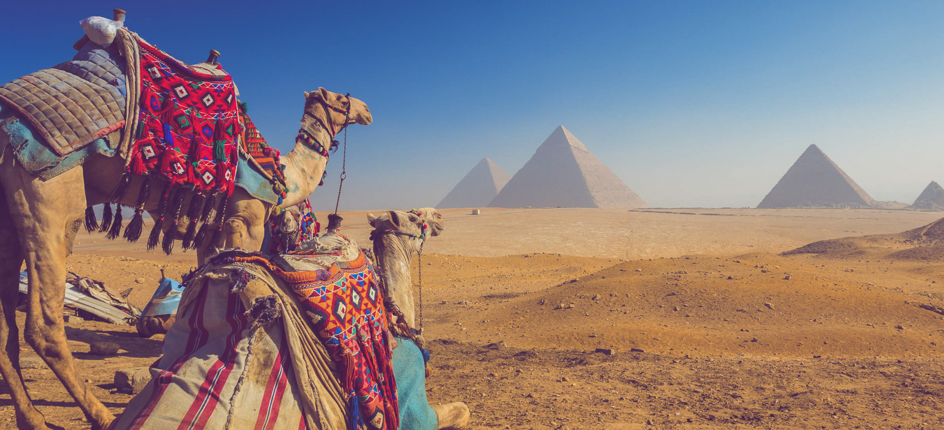 EGIPTO CLÁSICO